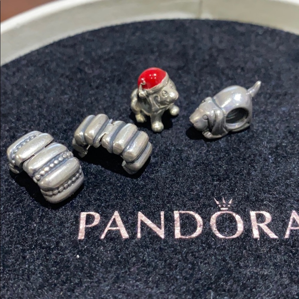 Bundle of Pandora charms